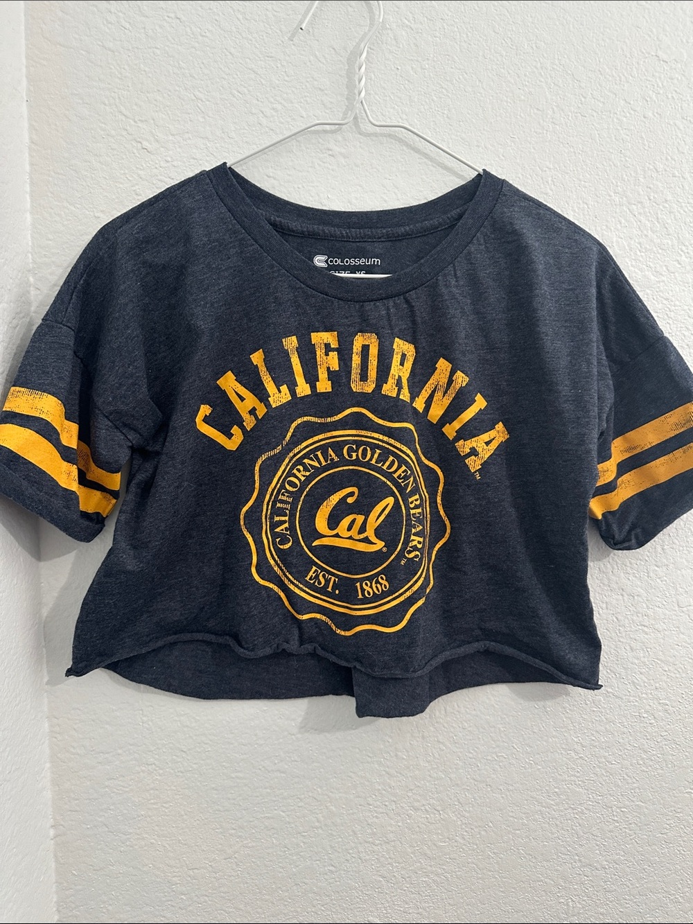 Colosseum California Cropped Tee - Blue & Gold